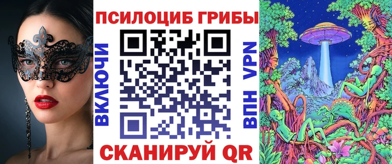 Купить где  Барыш  Псилоцибиновые грибы мухоморы 